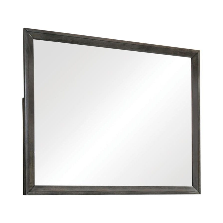 Wakefield Transitional Rectangle Mirror